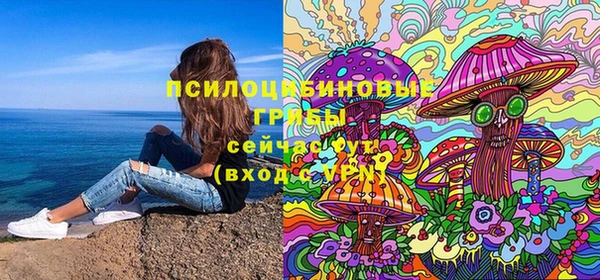 дурь Абаза