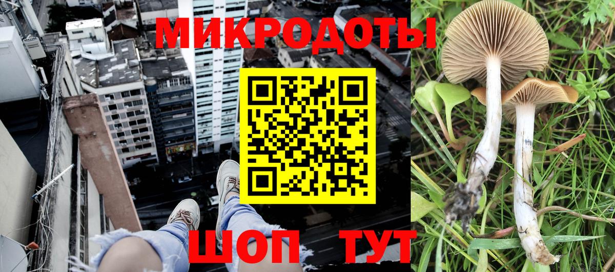 Псилоцибиновые грибы Psilocybine cubensis  Вход с VPN  Краснокамск 